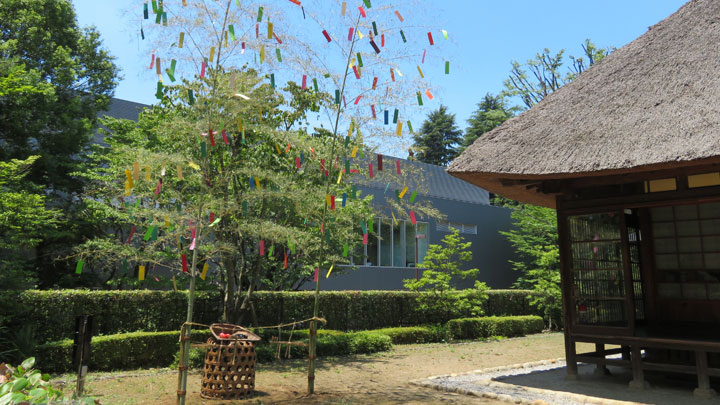 Tanabata Festival Decor