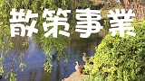 歴史ガイドツアー　～都立石神井公園内　石神井城跡をめぐる～