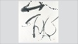分室特別展関連イベント「松井如流作品から古典を学ぶ：一文字を扇子に書こう」